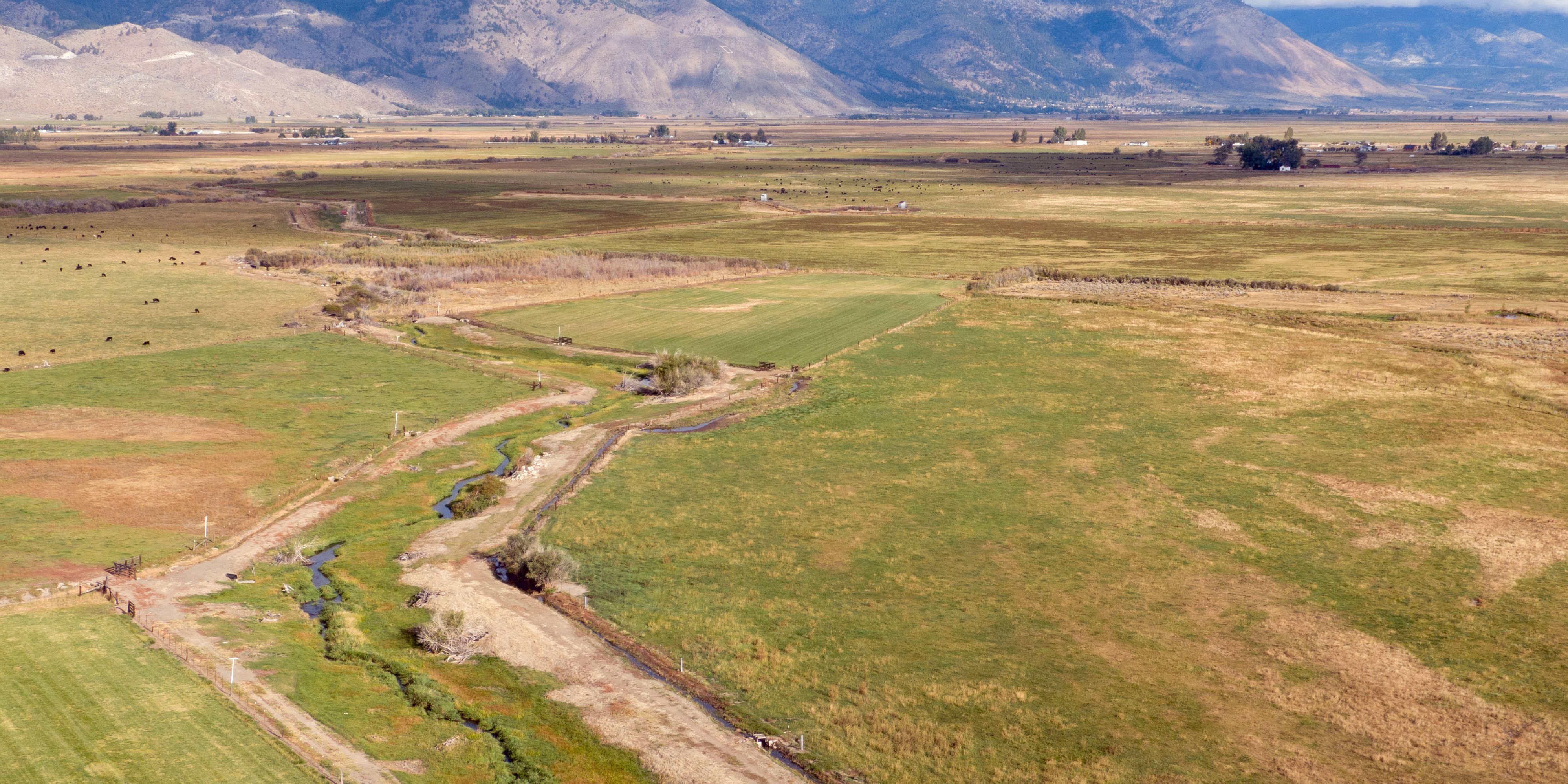 Water2_DJI_0294 Show the Rocky Slough Carson Valley