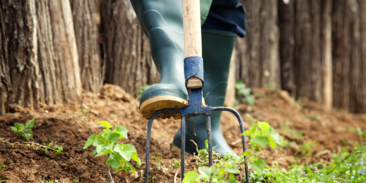 Garden Feature Gardening