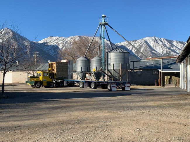 Hay 1 Feature Image of historic Storke Dairy