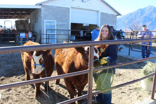 Ag & Artisan Holiday Faire