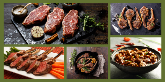 Untitled design (12) Lamb