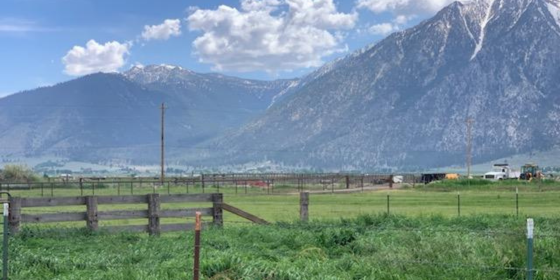 Carson Valley Meats Ranch Box Anniversary