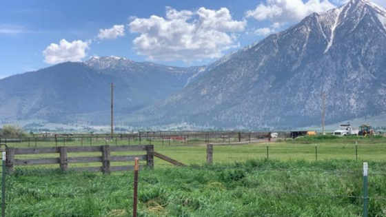 Carson Valley Meats Ranch Box Anniversary