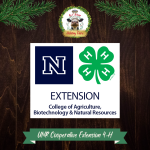 UNR Cooperative Extension 4-H - baked goods and farm animal exhibitions including horsemanship, chickens and more! These kids will amaze you with their knowledge and skill around animals. Plus, buy a beer, buy some cookies and support 4-H!