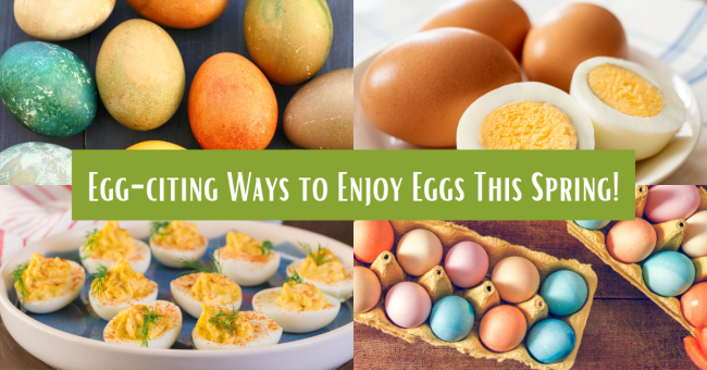 Easter Egg Blog A collage of colorful easter eggs, deviled eggs, and hard boiled eggs