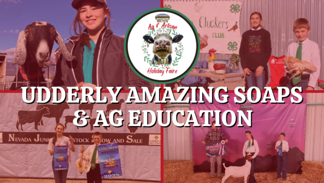 CVM Holiday Fair Producer Blog Covers