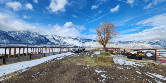 Local Food from Local Farmers