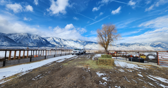 Local Food from Local Farmers