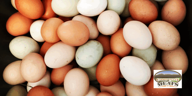 fun facts about eggs