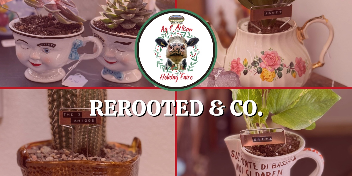 CVM Holiday Fair Producer Blog Covers