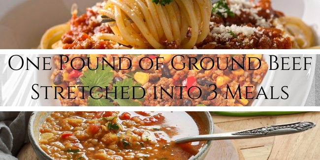 CVM 2023-24 Featured image – one pound of ground beef stretched into 3 meals One pound of ground beef stretched into three meals