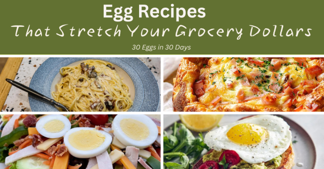 30 Eggs in 30 Days Recipes Featured Image Collage of egg dishes from the 30 Eggs in 30 Days - Egg Recipes that Stretch Your Grocery Dollars