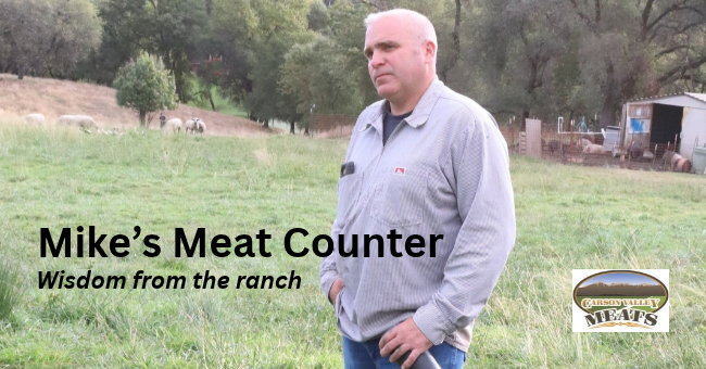 CVM Sept 2026 Featured images (650 x 340 px) Mike's Meat Counter - wisdom from the ranch